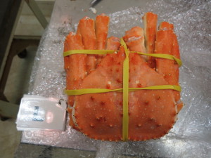 Blue king crab whole-round