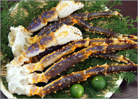 blue_king_crab