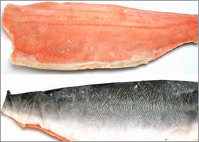 chilled_salmon_whole