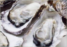 hiroshima_oyster